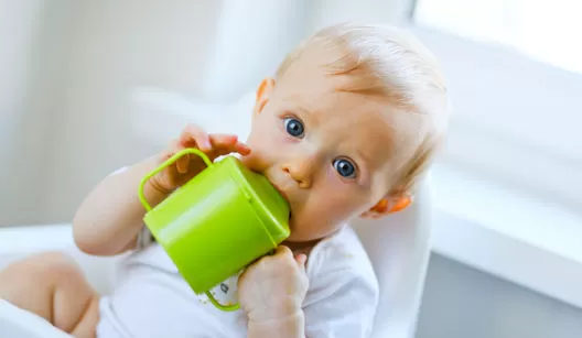 Desmame aconteceu! E agora, como fica o leite na alimentação infantil?